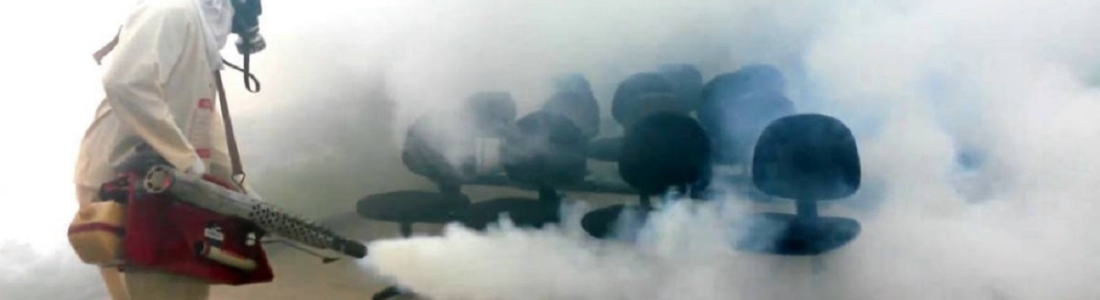 Dedetizadora Emergência 24 Horas  24 HORAS